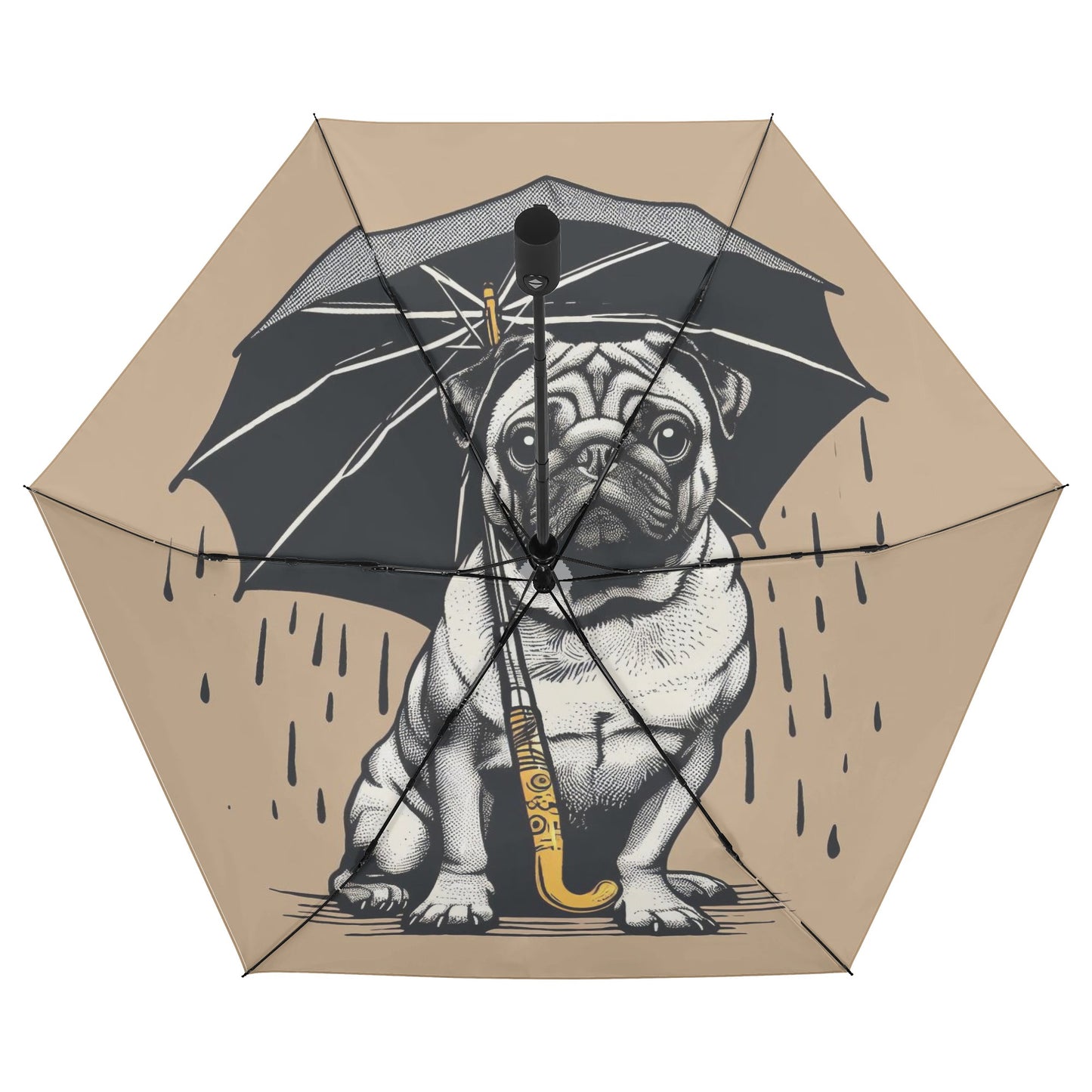 Crater - Umbrella